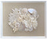 coral and nautilus wall art